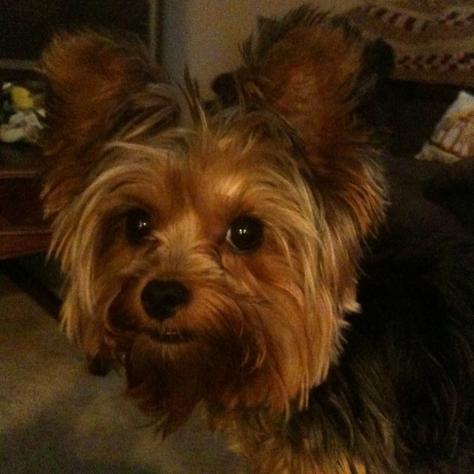 IHtruckman's profile picture. 