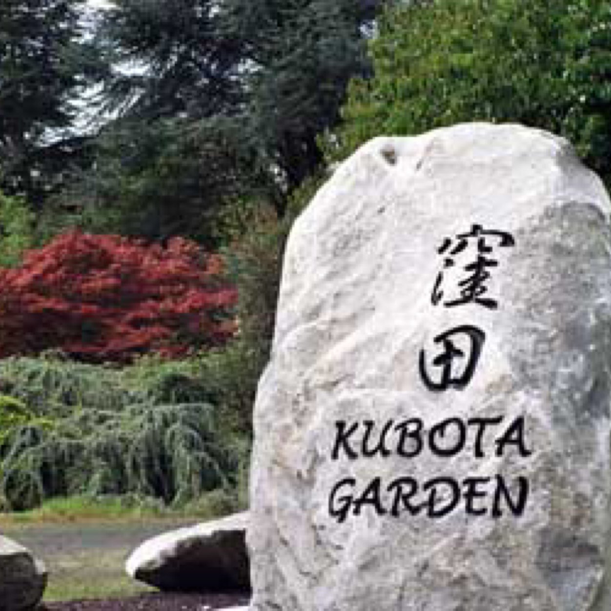 American Japanese garden which features streams, waterfalls, ponds and incredible trees & flowers. Like our FB page and follow us on Instagram KubotaGarden