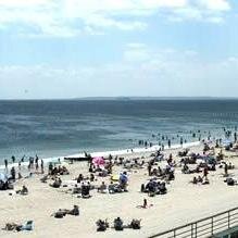 nonewnormal's profile picture. 