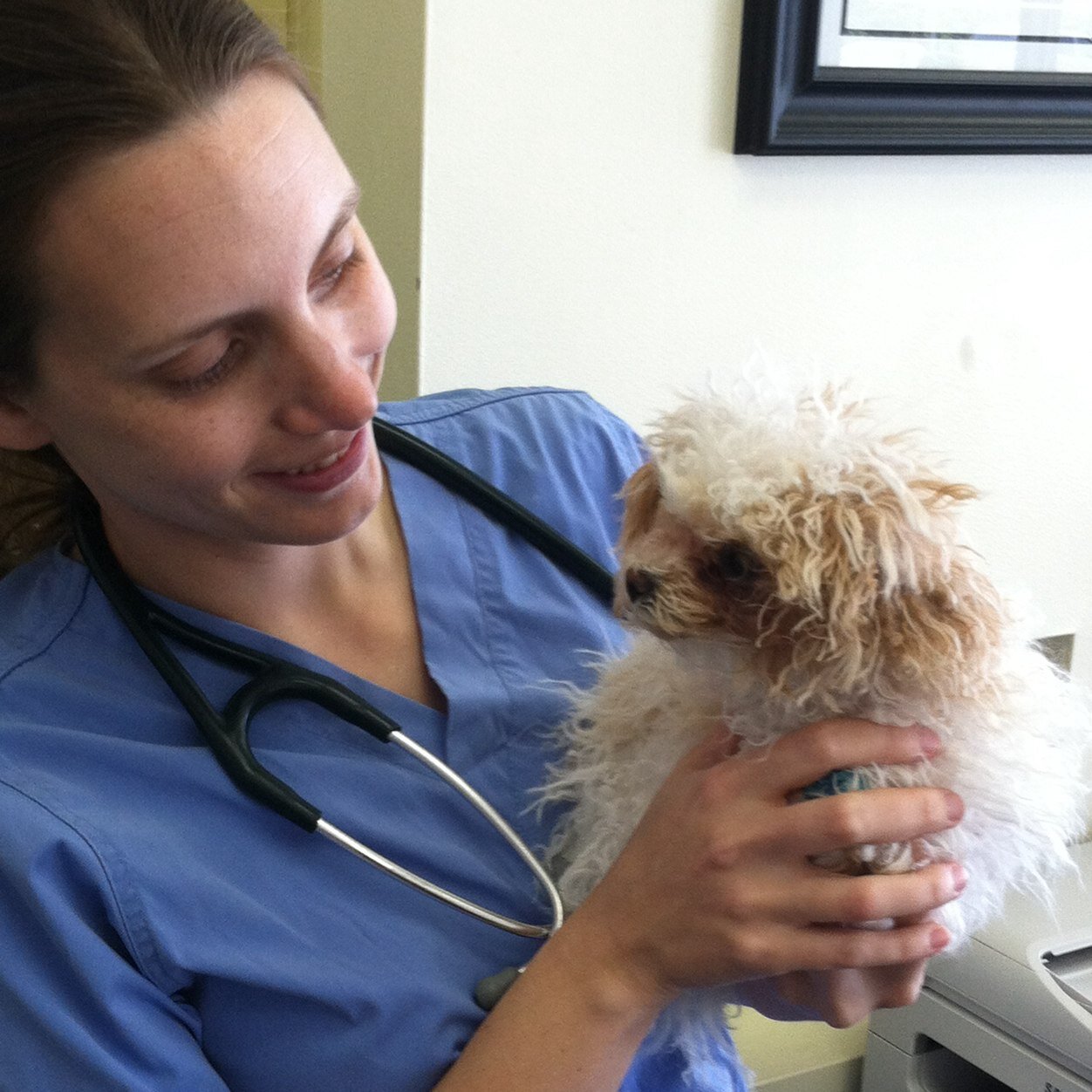 Veterinarian at Kindred Heart Animal Hospital. Duke and NCSU alum. Blue Devil Fan. Beekeeper. Gardener.