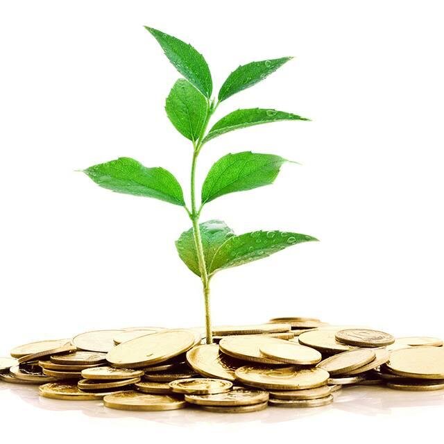 MyPortfoli0's profile picture. 