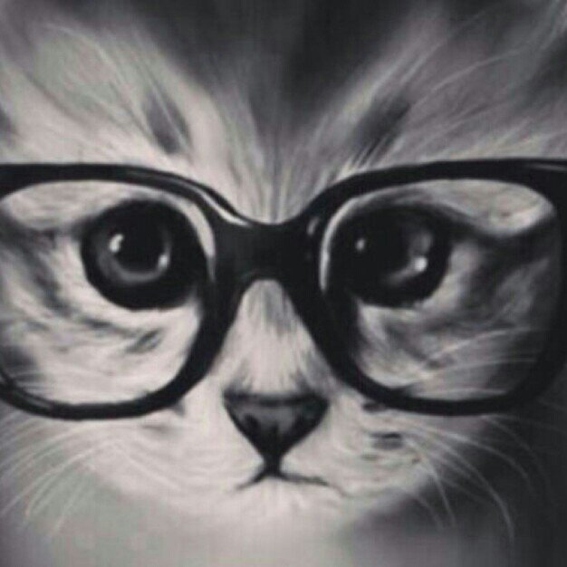 hhc05050's profile picture. 