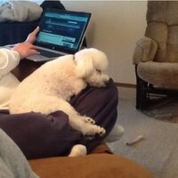 Joel Ewy (@jtewy) 's Twitter Profile Photo