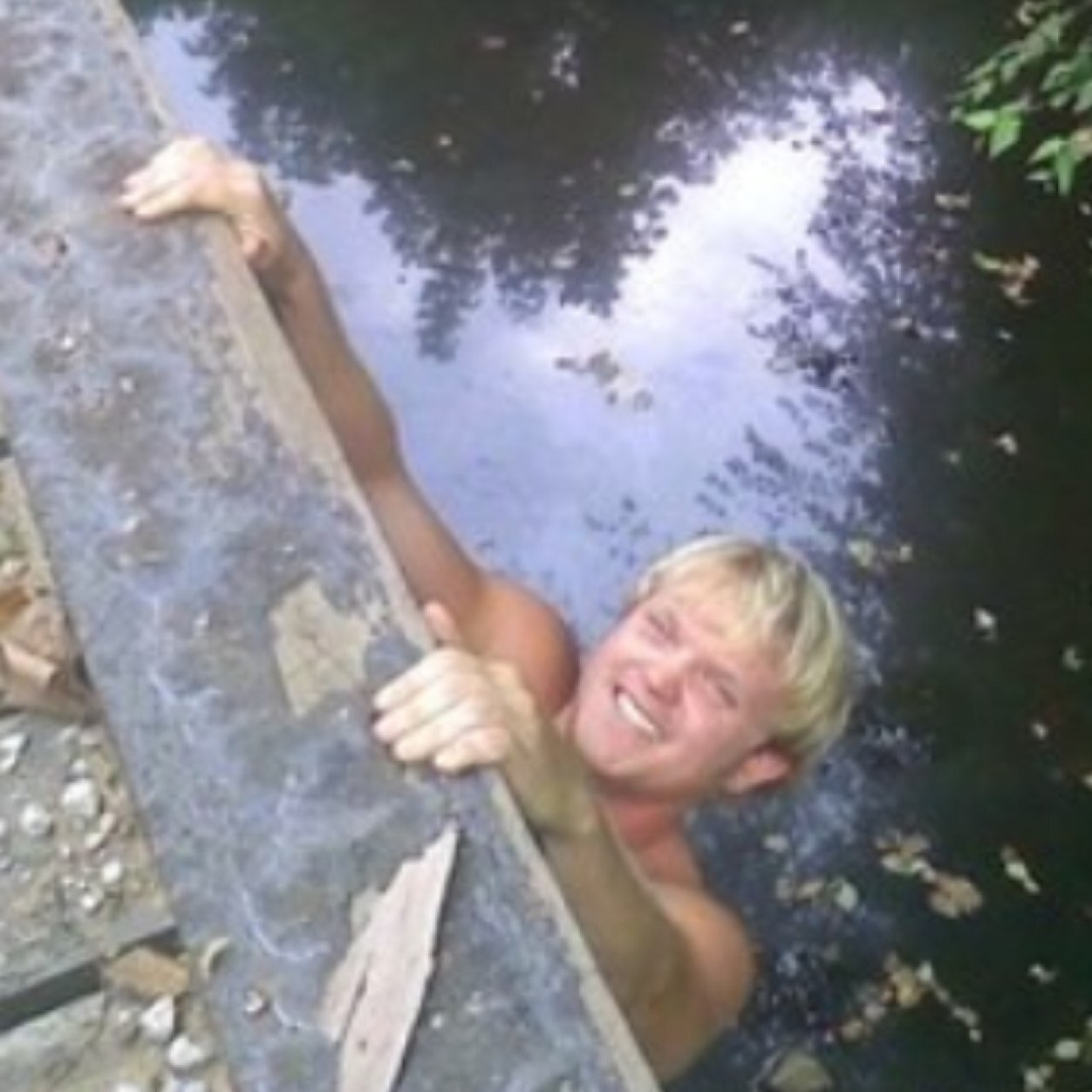 Sodbuster1990's profile picture. cotton corn soybeans hogs