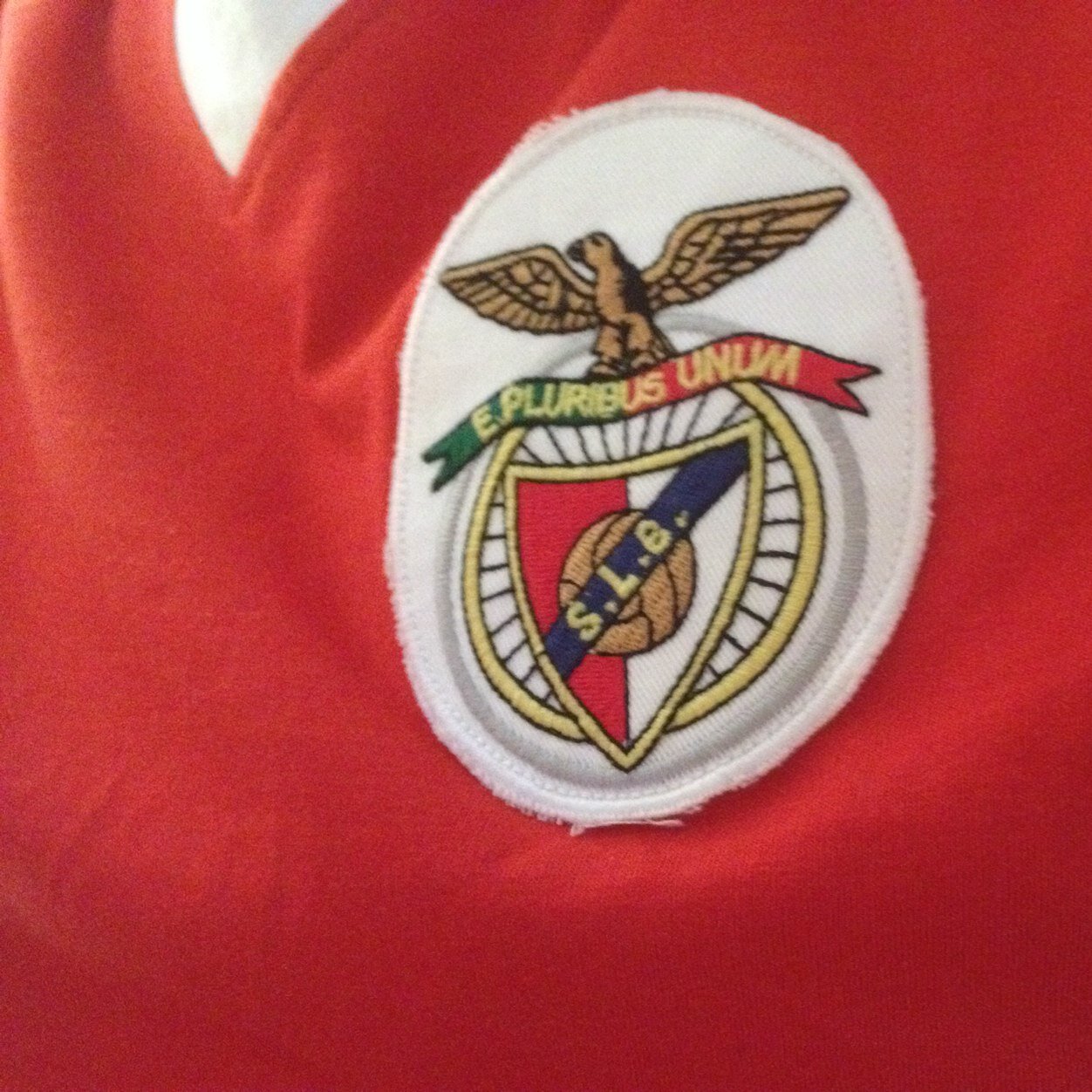 Sou do Benfica e isso me envaidece...