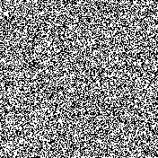 _P_ter's profile picture. Christian || Pragmatist ||