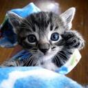 Roger Johnson - @Roger__Dodger - Twitter