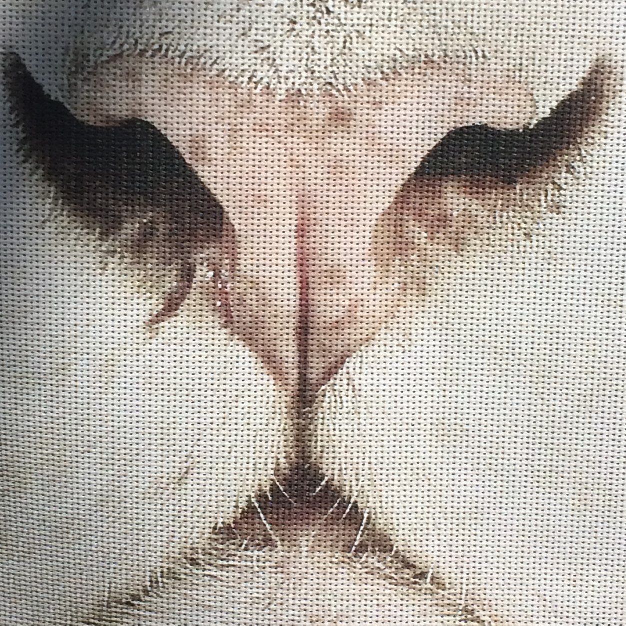 RO_e333's profile picture. Ethiopian in the flesh, Pure as a soul. REAL ONLY EVOLVES.....JAH BLESS  ONE LOVE!!!