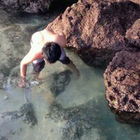 setyo wirawan (@setyo_wirawan) 's Twitter Profile