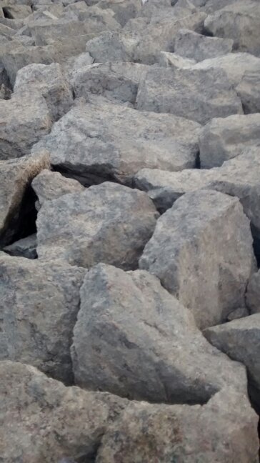 SreenivasMuniga's profile picture. 