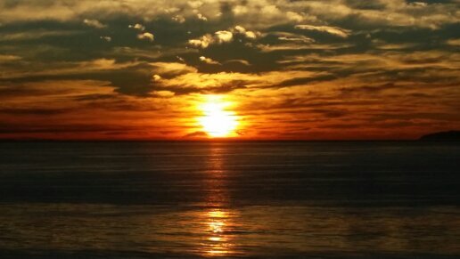 see deeper- love wider- live louder; COO, Wells of Life, Inc; love God, beach, books, great photos, family, friends, great restaurants