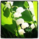 Anna Lundblad - @AdaLundblad - Twitter