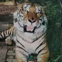 Russell Amos - @mud4x4racer - Twitter