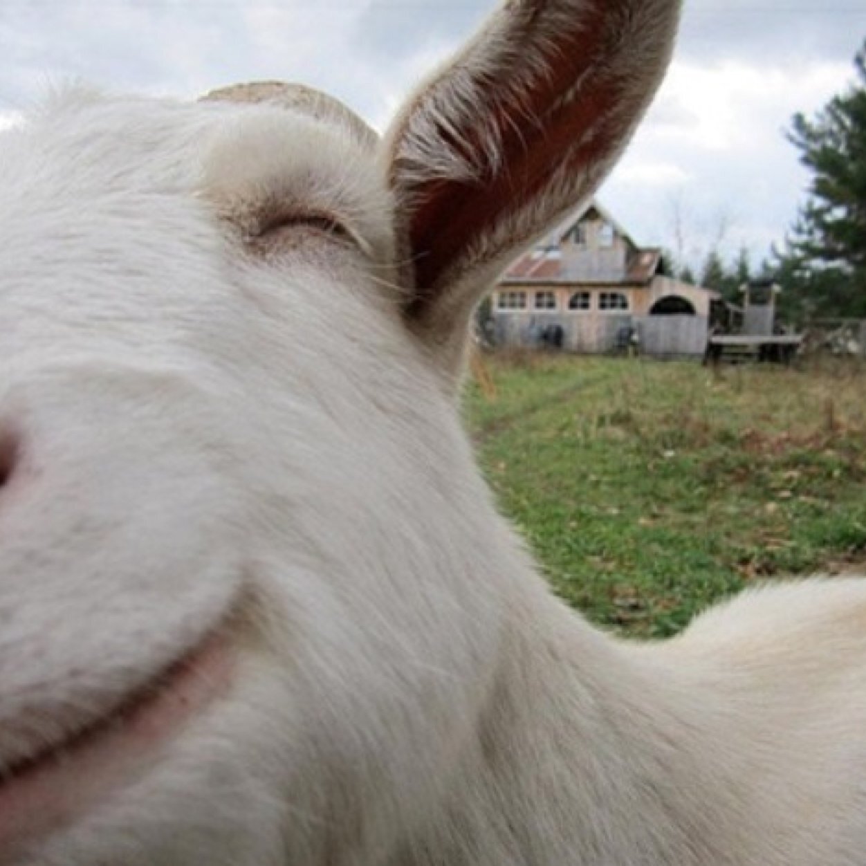 i_is_unicorn's profile picture. insta? yes. OhAndILoveYouBye.