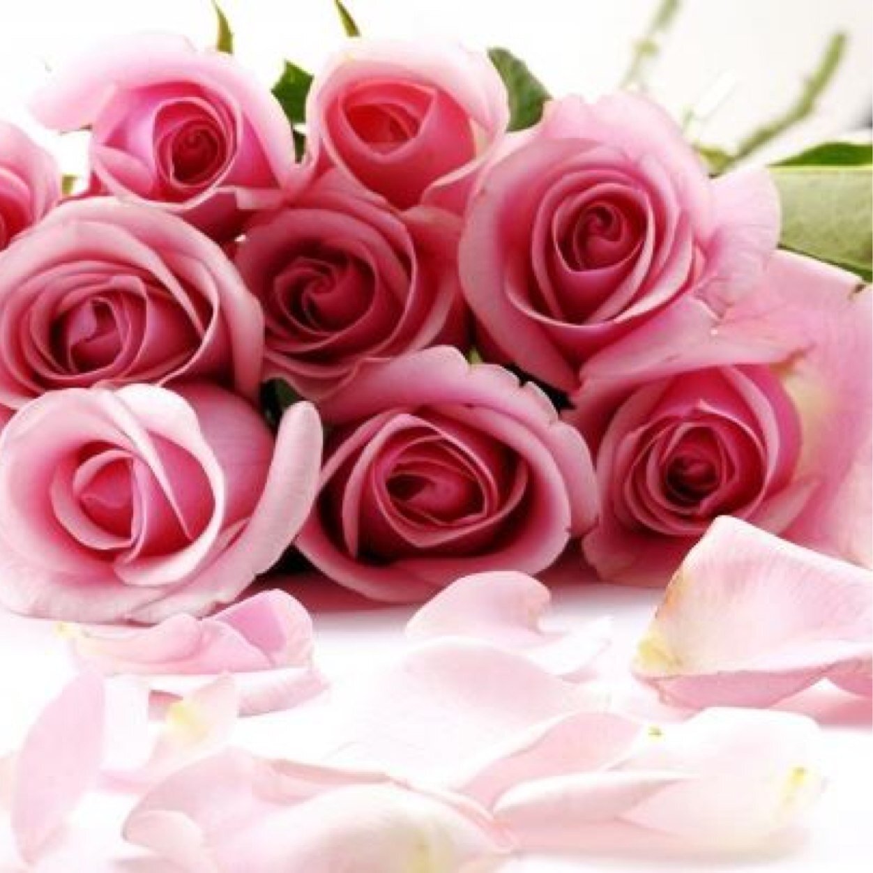 alfawzan_m's profile picture. ‏‏‏‏‏‏~ ‏‏اللهم ارحم حبيبي ابراهيم،
 اللهم واجمعنا به وكل احبابي بفردوسك الأعلى ~