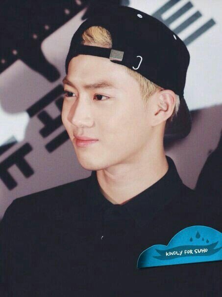 exo leader suho