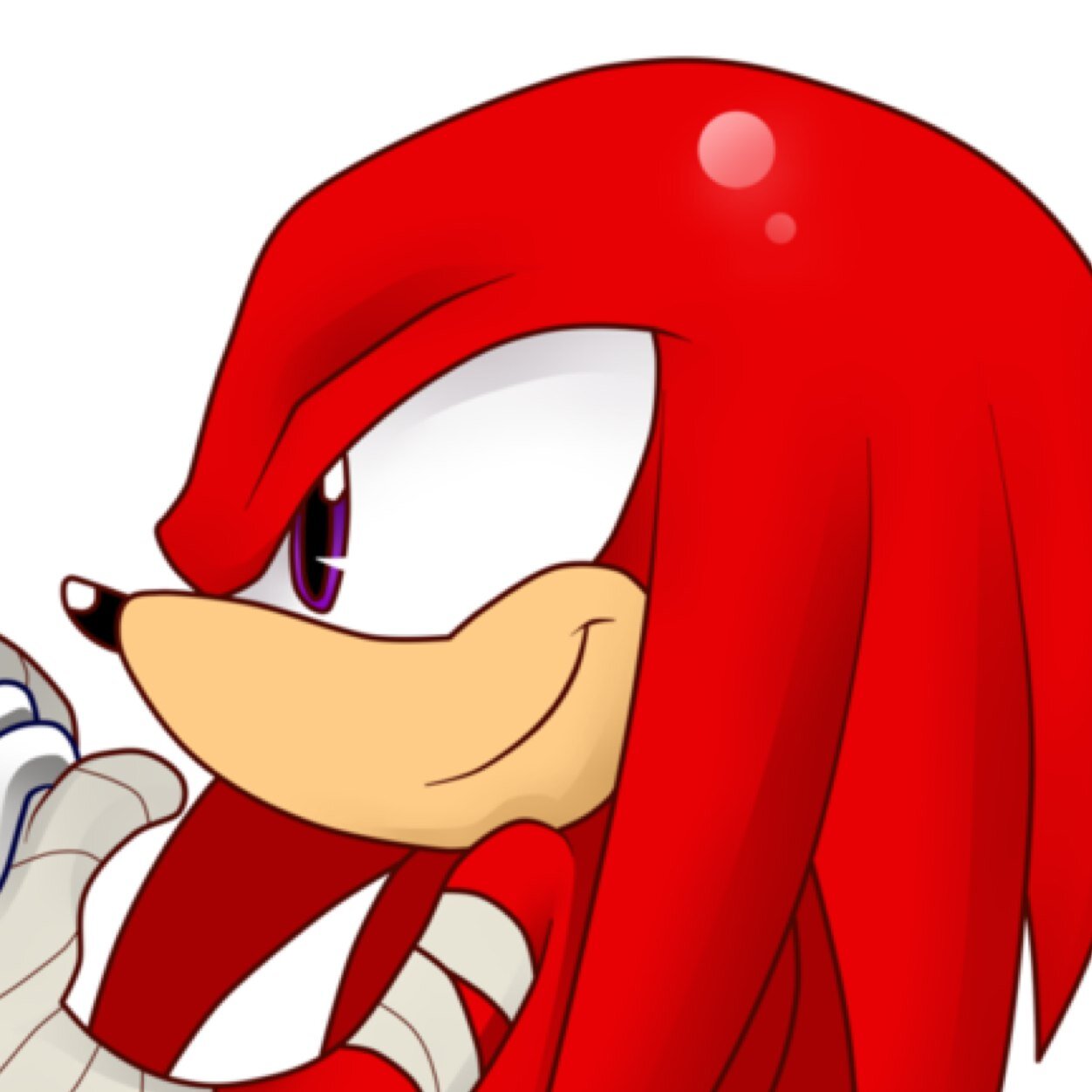 My name is knuckes i am teamsonic with sonic and tails and follow me and follow back i am big fan of games and films