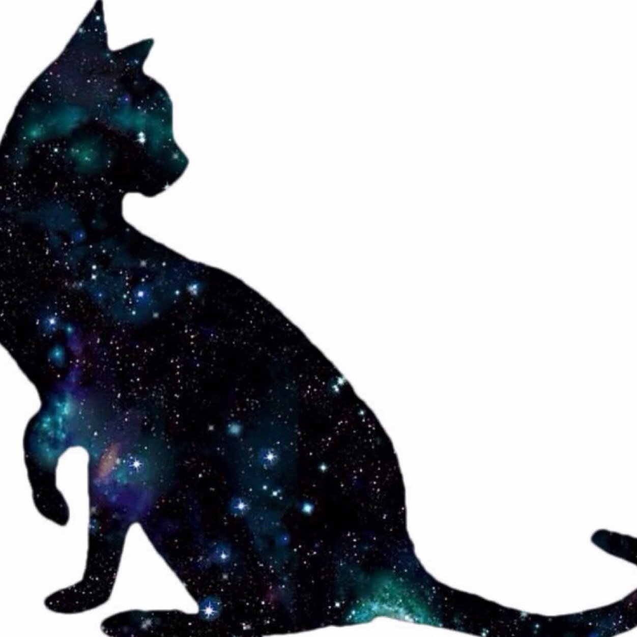 ねこ Ry Ll Twitter ねこ Ry Ll Twitter