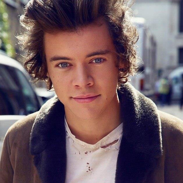 Directioner, кузнец свега и добра