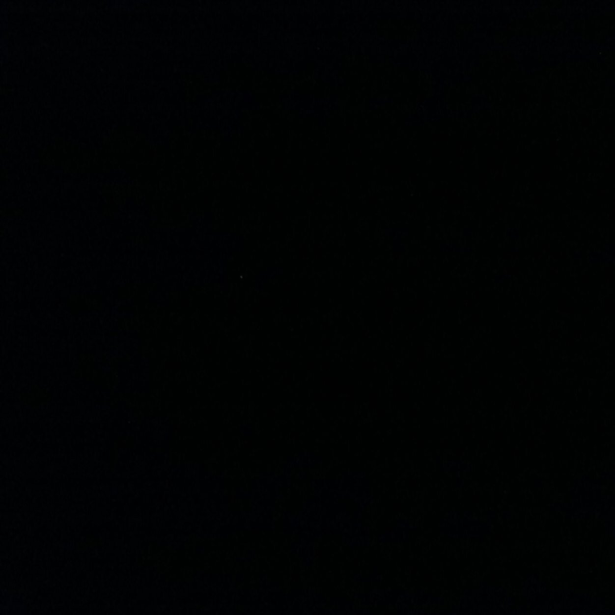 moromoritomoron's profile picture. 