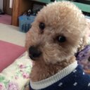 ふと (@0101Toshiya) Twitter