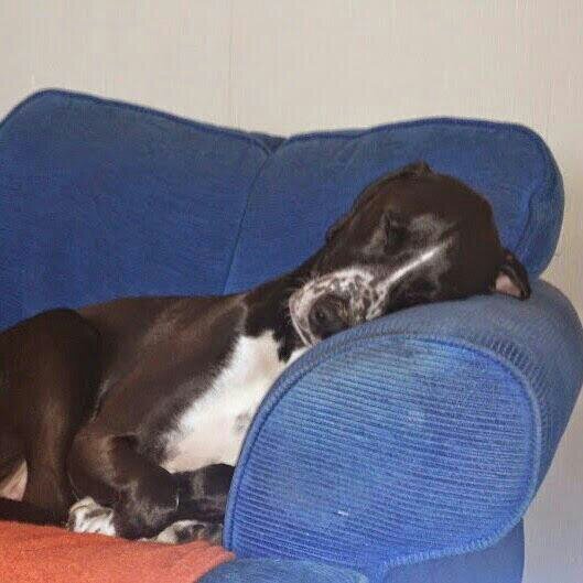 d45197757c66402's profile picture. 