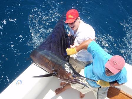 GoFishCostaRica's profile picture. Tamarindo's #1 full service sport fishing company with 1st class service. http://t.co/8Xp9ekLUVA
