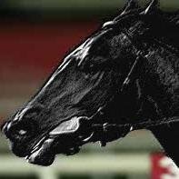 Worldpoint1's profile picture. 