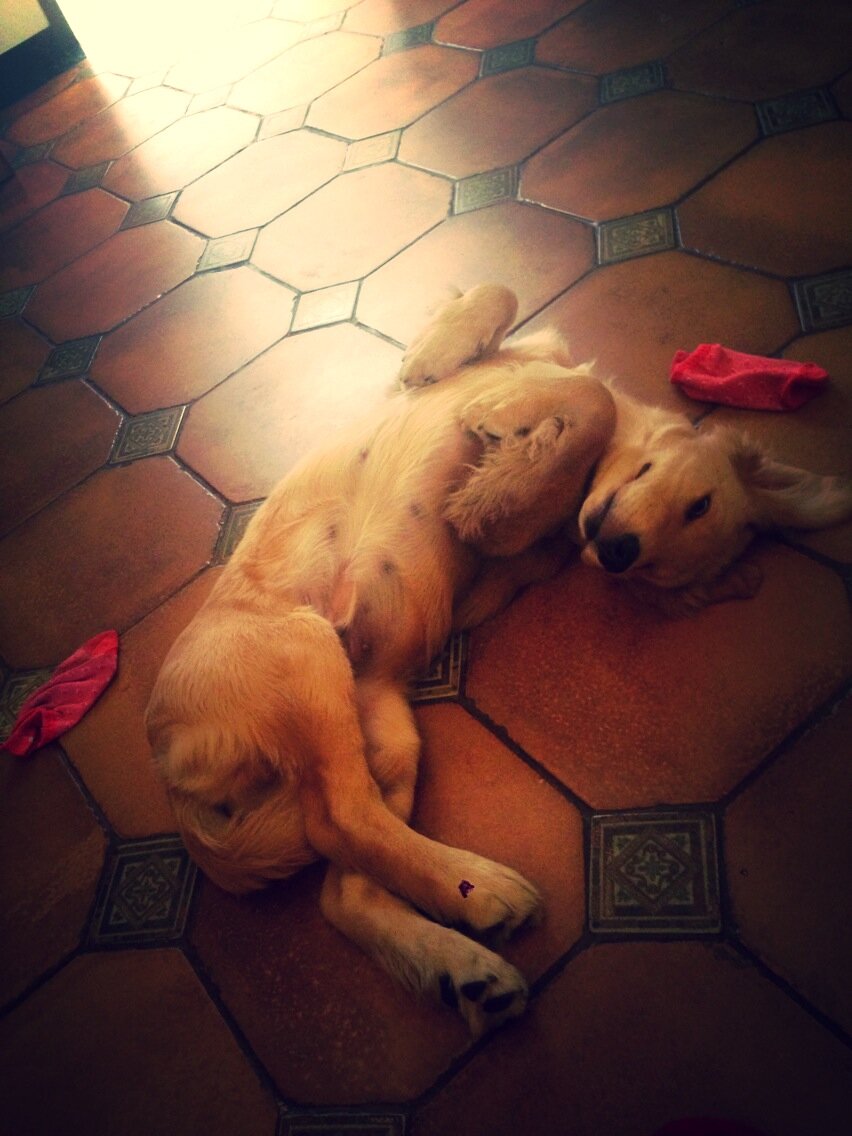 rachelg127's profile picture. 