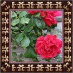 ilivefor_i's profile picture. 