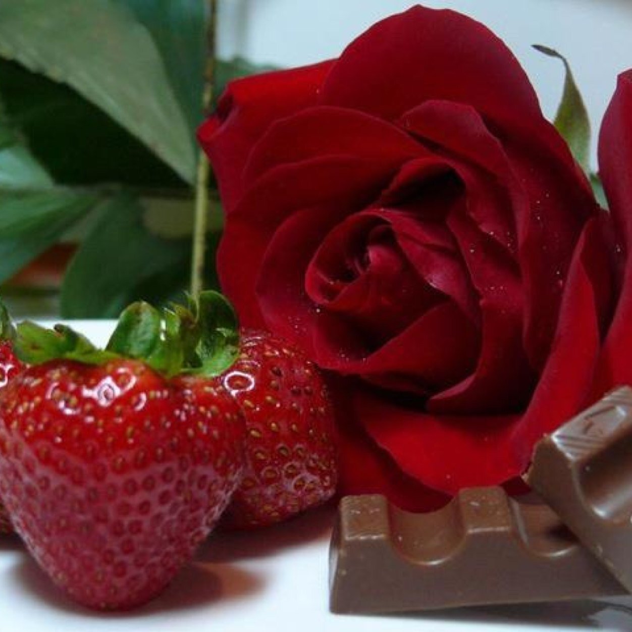 abc1395's profile picture. أستاذ التاريخ الإسلامي والدراسات الاجتماعية. المملكة العربية السعودية محايل عسير