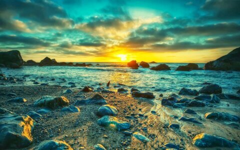 fi_domani's profile picture. Crediamo che Forza Italia abbia un domani, iniziamo a costruirlo.