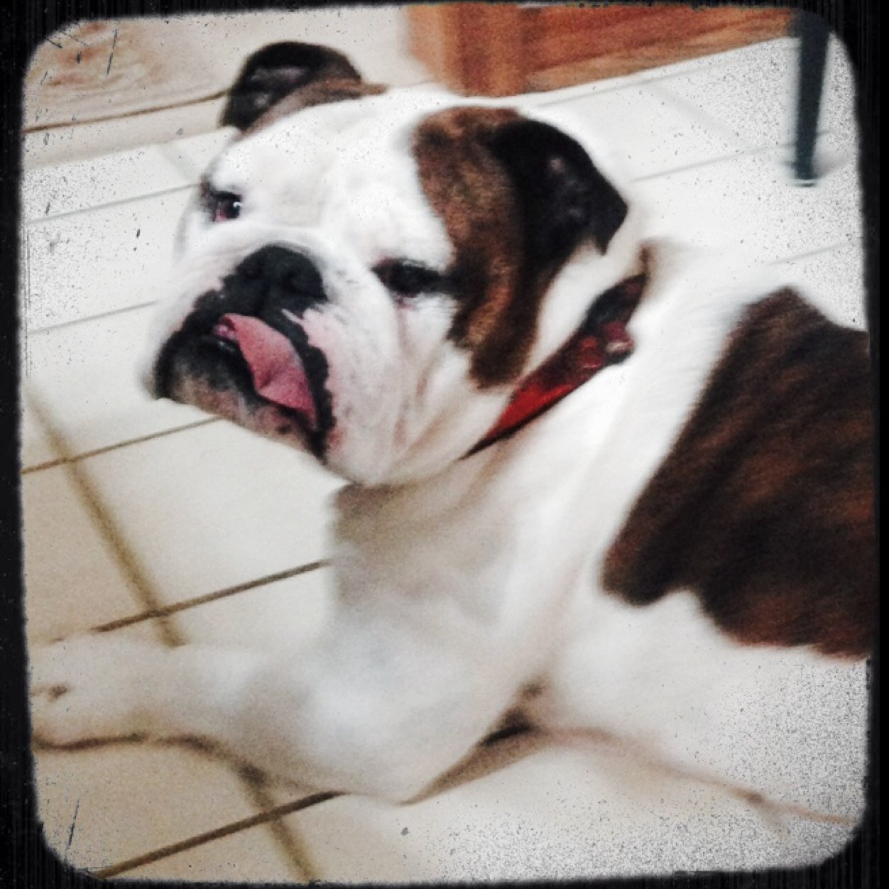 CinCityBNW's profile picture. 