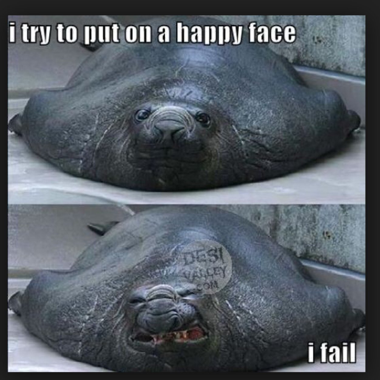 HAHAHAHAHAHAHAHAHAHAHA FAIL HAHAHAHHAHAHAHHAHAH
