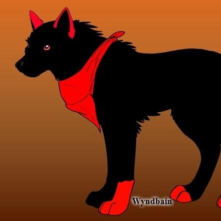 hey im rebel  a fun lovin wolf  i always rp  soon to be a fursuit maker  feel free to DM me