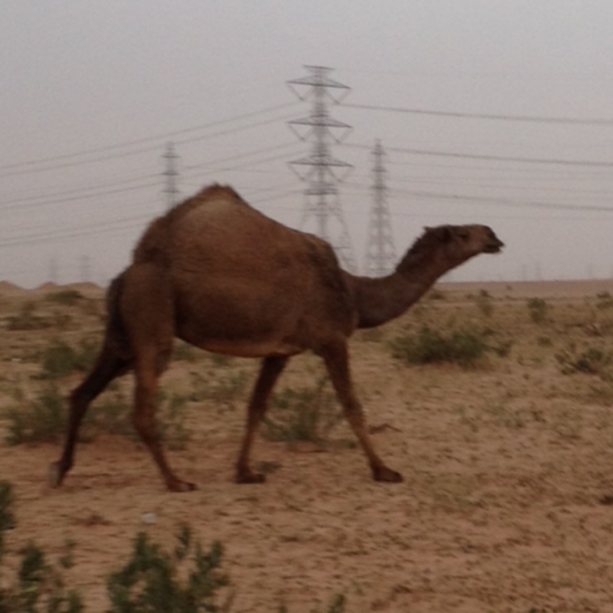 سبحان الله والحمدلله ولا اله الا الله والله اكبر ولا حول ولا قوة الا بالله