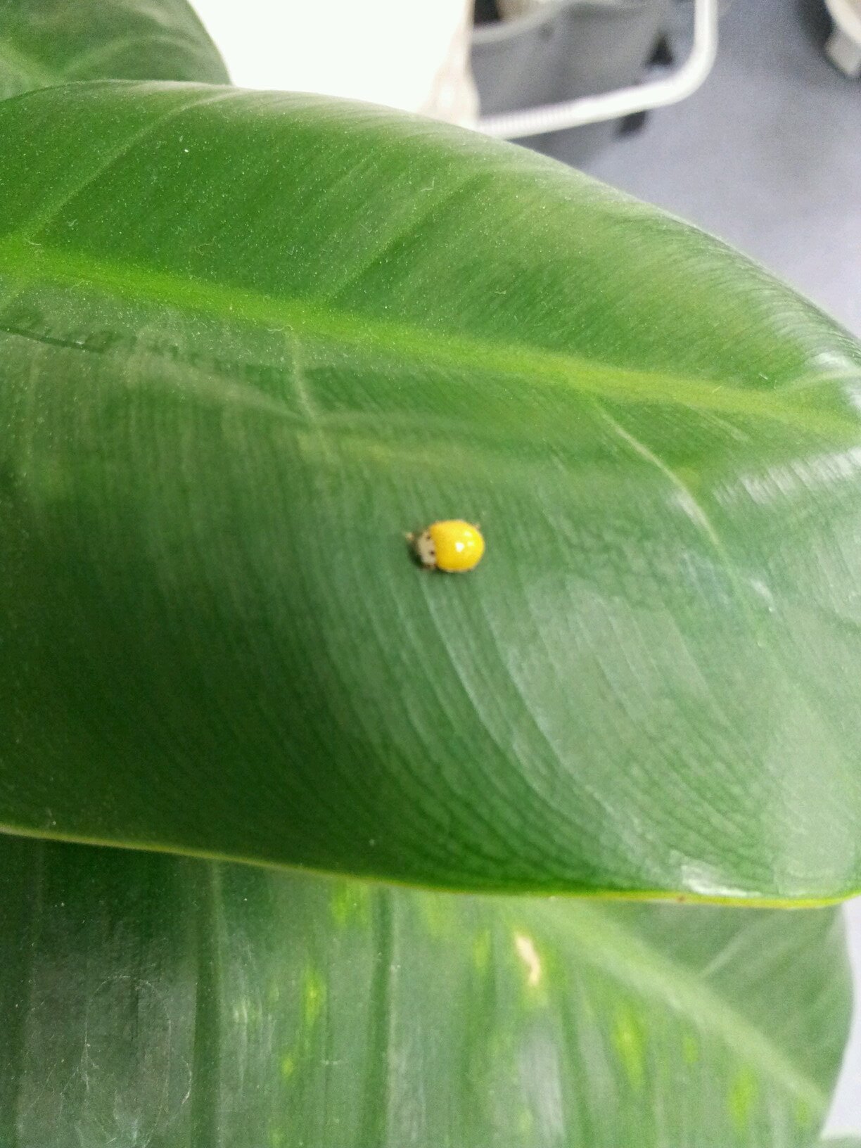 bridge0013's profile picture. 의사 헤드헌터 입니다..