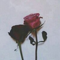 الروقيييه (@f___6___3) 's Twitter Profile