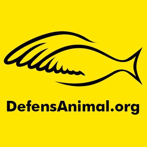 ONG que desde 2004 trabaja para crear un mundo más justo para todas las personas, sin importar quién o cómo seamos, es decir,sin importar raza, sexo, especie...