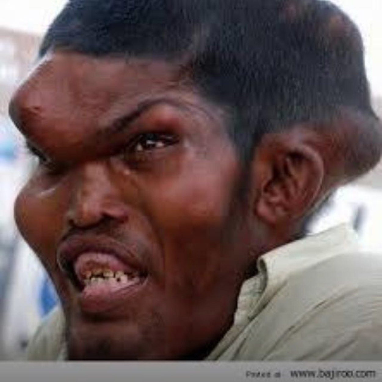 Jackingham747's profile picture. 