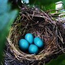 Robin Silver - @RobinSilver1 - Twitter