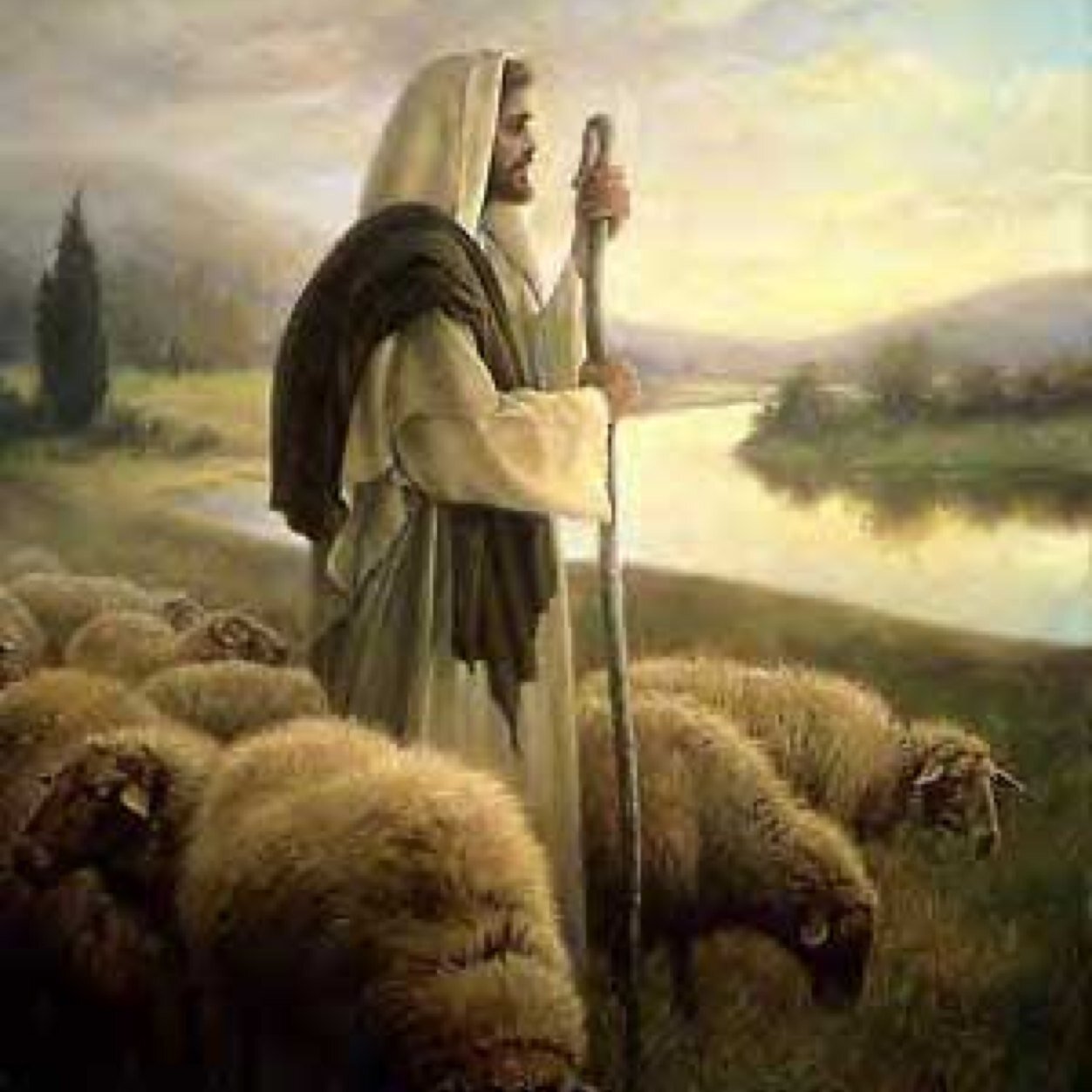 theshepherdOne's profile picture. 