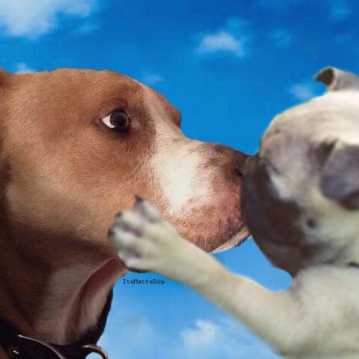 Hereforburnie Profile Picture