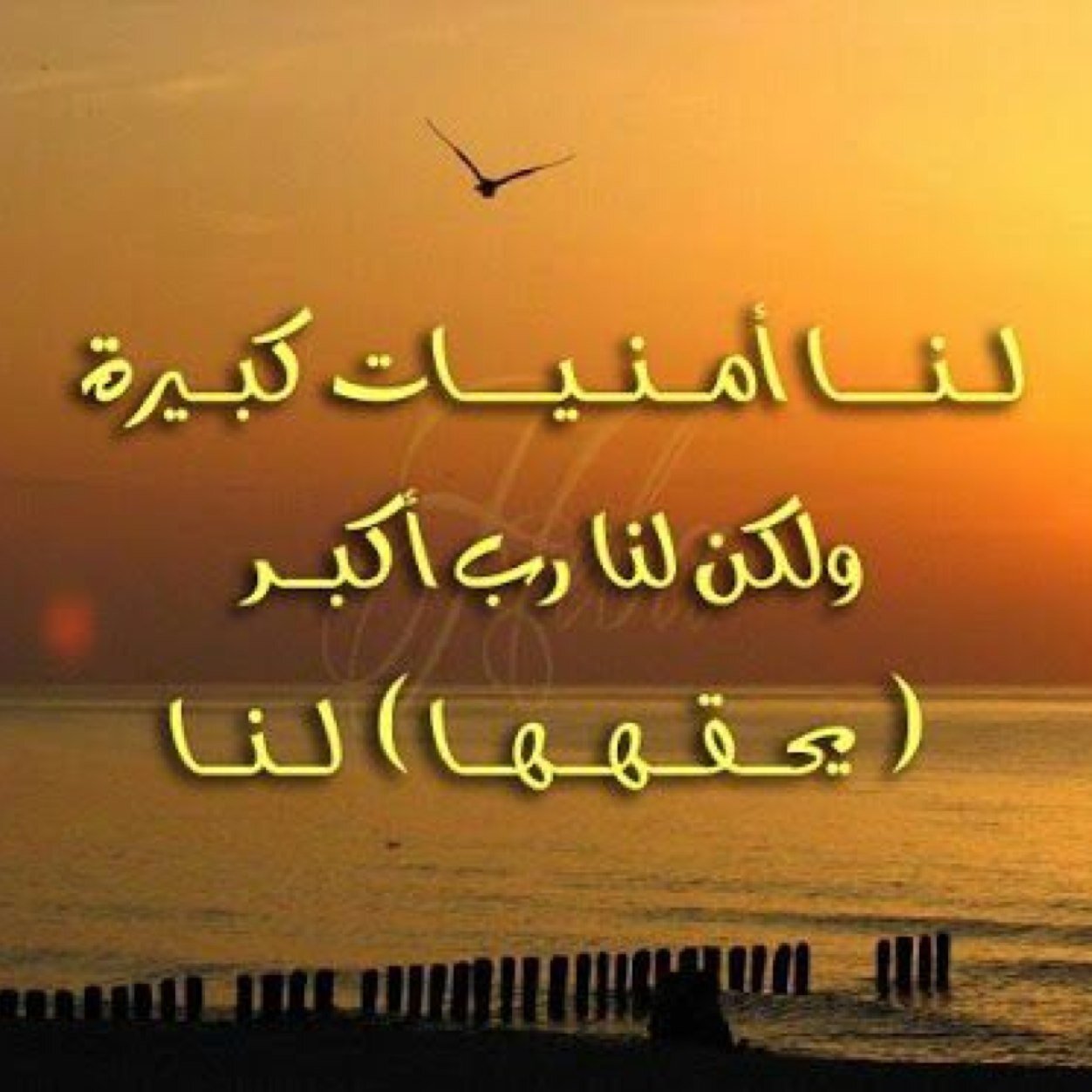 اللهم صلي وسلم على رسول الله -دكتور علم نفس- حسابي الاول تهكر وهذا الجديد-