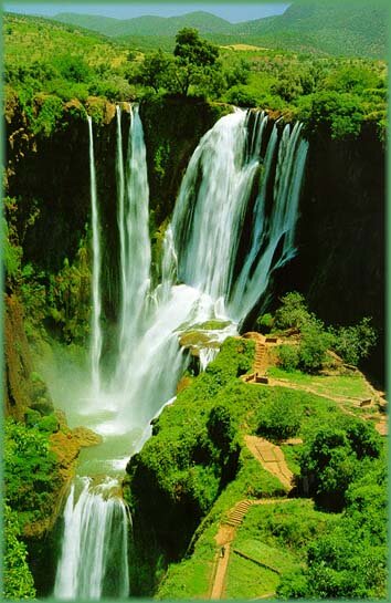 waildahab1's profile picture. مهما طال الليل .....لابد بعده من فجر النهار. ....عاشق ترابك يابلادى يامصر