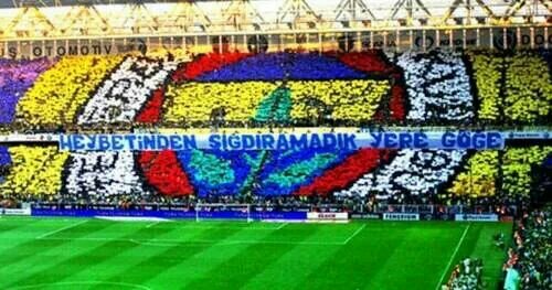 fenerbahçe delisi, futbol aşıgı...
