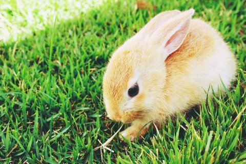 follow me if you're swifty :)
