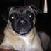 Eric smith (@rescue615) Twitter profile photo