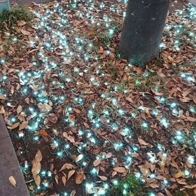 平井茂樹