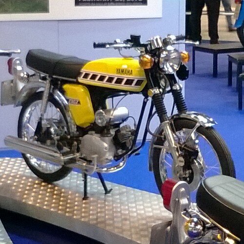 Treedatatim's profile picture. 